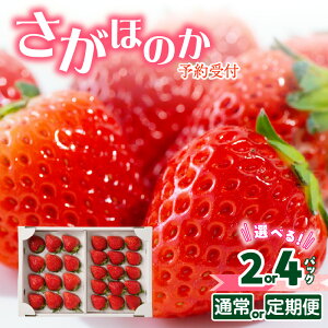 yӂ邳Ɣ[ŁzyʁEzIׂz\tR_ ꌧCYق̂ 12pbN or 24pbNi12`5ɂ͂j _r[Ly[{^