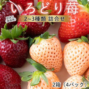 yӂ邳Ɣ[Łz\tR_y2`5 zzCYǂ肢lߍ킹iƒpE󂠂j^  ق̂  W 䂫  