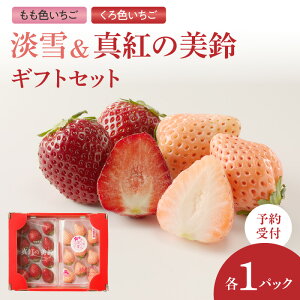 【ふるさと納税】★予約受付★杉山いちご農園【1月〜5月 順次配送】もも色いちご(淡雪)&くろ色いちご(真紅の美鈴)ギフトセット/白いちご あわゆき 黒いちご 真紅の美鈴 苺 希少 果