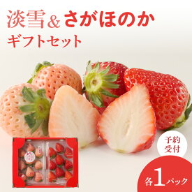 【ふるさと納税】【配送時期が選べる】★予約受付★杉山いちご農園「淡雪（白いちご）」「さがほのか」ギフトセット 12月〜5月中に順次配送／さがほのか 白いちご あわゆき 苺 いちご 希少 果物 くだもの フルーツ 旬 食べ比べ セット ＼レビューキャンペーン実施中／