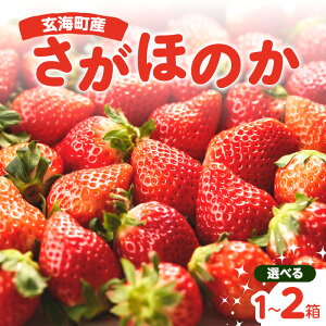yӂ邳Ɣ[ŁzyeʑIׂzq\tr삢_ ꌧCYق̂ 12pbN or 24pbNi1`4ɂ͂j _r[Ly[{^
