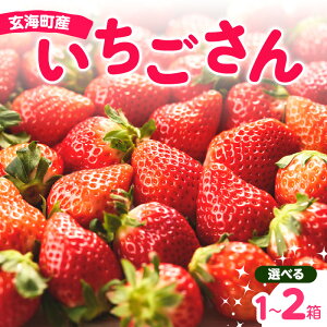yӂ邳Ɣ[ŁzyeʑIׂzq\tr삢_ ꌧCY 12pbN or 24pbNi1`4ɂ͂j _r[Ly[{^