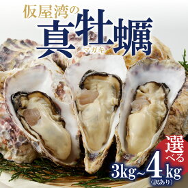 【ふるさと納税】【発送時期・数量選べる】仮屋湾の真牡蠣 3kg[正規品] or 4kg[訳あり]【殻付き】／ 旬 牡蠣 殻付き 貝 貝類 殻付 魚介 魚介類 海鮮 海産物 カキ 牡蛎 バーベキュー BBQ 国産 佐賀県 玄海町 大粒 産地直送 冷蔵 バーベキュー ＼レビューキャンペーン実施中／