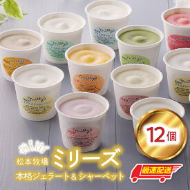 【ふるさと納税】【数量選べる】松本牧場ミリーズ 6個 or 9個 or 12個 〜本格ジェラート＆シャーベット ／ ジェラート シャーベット アイスクリーム スイーツ デザート いちご ミルク 抹茶 バニラ チョコ みかん 食べ比べ 佐賀県 玄海町 ＼レビューキャンペーン実施中／