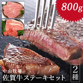 【ふるさと納税】中山牧場　佐賀牛ステーキ（800グラム）