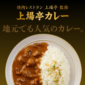 【ふるさと納税】上場亭　カレー　5箱