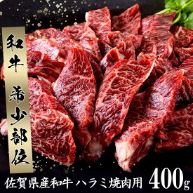【ふるさと納税】希少部位　佐賀県産和牛ハラミ焼肉用　400g