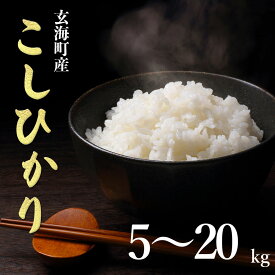 【ふるさと納税】【容量選べる】佐賀県玄海町産こしひかり 5kg or 10kg or 20kg ／ 米 お米 精米 白米 ご飯 産地直送 数量限定 佐賀県 玄海町 常温 ＼レビューキャンペーン実施中／