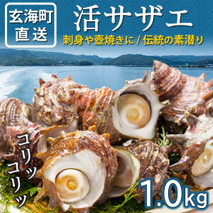 yӂ邳Ɣ[ŁzCY TUG 1.0kg ^ ʌ  L   CN CY TUG hg Ă ڏĂ o[xL[ BBQ Y ꌧ C _r[Ly[{^