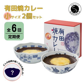 F75-2【ふるさと納税】【6回定期便】有田焼カレー(小)【器いろいろ】2個セット JR九州駅弁グランプリ テレビ番組全国駅弁ランキング1位