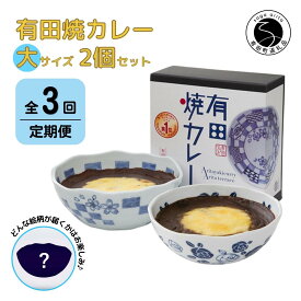 【ふるさと納税】【3回定期便】有田焼カレー(大)【器いろいろ】2個セット JR九州駅弁グランプリ テレビ番組全国駅弁ランキング1位 F45-1