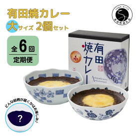 【ふるさと納税】【6回定期便】有田焼カレー(大)【器いろいろ】2個セット JR九州駅弁グランプリ テレビ番組全国駅弁ランキング1位 F130-1
