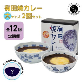 【ふるさと納税】【12回定期便】有田焼カレー(大)【器いろいろ】2個セット JR九州駅弁グランプリ テレビ番組全国駅弁ランキング1位 F240-1