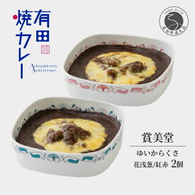 【ふるさと納税】有名窯元 賞美堂 × 有田焼カレー うつわ付き 2個【プレアデス】有田焼 うつわ 器 食器 カレー スパイス 佐賀県産米 人気 お取り寄せ 冷凍 ギフト プレゼント 贈り物 F55-1
