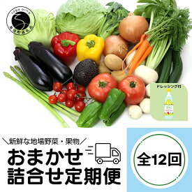 【ふるさと納税】【12回定期便】新鮮な地場 野菜・果物 おまかせ詰合せ（ドレッシング付）12回 定期便 JA伊万里 F120-1