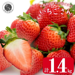 yӂ邳Ɣ[Łzy߂ĂƂAĊÂIzJÁuv240g×6pbNyJAɖ_|z C`S   ʕ 6pbN   ꂢ Â _ 12000~ 1