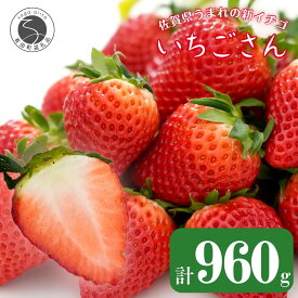 【ふるさと納税】【眺めてうっとり、かじって甘い！】JAの「いちごさん」240g×4パック【JA伊万里_園芸】いちご イチゴ 苺 いちごさん 果物 4パック 小分け 佐賀 佐賀いちご 甘い 酸味 10000円 1万円 F10-47