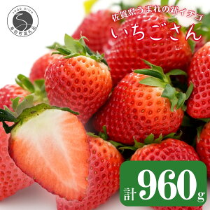 �y�ӂ邳�Ɣ[�Łz�y���߂Ă����Ƃ�A�������ĊÂ��I�zJA�́u����������v240g×4�p�b�N�yJA�ɖ���_���|�z������ �C�`�S � ���������� �ʕ� 4�p�b�N ������ ���� ���ꂢ���� �Â� �_�� 10000�~ 1