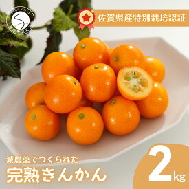 【ふるさと納税】【減農薬栽培！甘くてジューシー！】有田産 完熟金柑 2kg【JA伊万里_きんかん部会】きんかん キンカン 金柑 完熟 甘い 安心 安全 佐賀県産 特別栽培認証 贈り物 ギフト ビタミンC ポリフェノール 12000円 1.2万円 F12-53