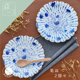 【ふるさと納税】有田焼 十草花散らし 8寸盛皿 24.5cm 2枚セット【まるぶん】食器 器 うつわ 磁器 皿 盛皿 パスタ皿 プレート ワンプレート 菊 手描き 染付 青 ブルー 電子レンジ対応 5万円 A50-280