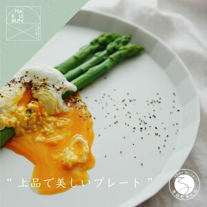 【ふるさと納税】有田焼 UTSUA PlateLarge / Matt white オシャレなプレート【まるぶんオリジナル】食器 器 うつわ 磁器 陶磁器 皿 プレート ラージ メイン皿 ワンプレート シンプル おしゃれ スタイ