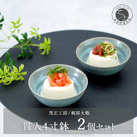 【ふるさと納税】有田焼 貫入4寸（12cm）小鉢2個セット 青磁 食器 鉢 うつわ 作家 梶原大敬 茂正工房 A20-504