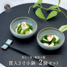 【ふるさと納税】有田焼 貫入青磁3寸小鉢 2個セット【梶原大敬 茂正工房】器 うつわ 食器 皿 小ぶり 小鉢 ボウル 2個 セット ペア 青磁 貫入 青 夏 シンプル 作家 ろくろ 電子レンジ対応 A20-587