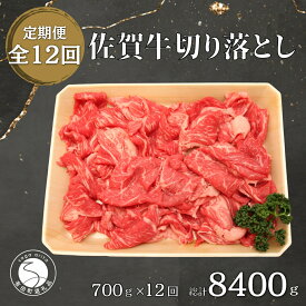 【ふるさと納税】 【12回定期便 総計8400g】【佐賀牛】切り落とし肉700g N400-3