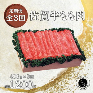 yӂ邳Ɣ[Łzꋍ  Ă Ԃԗp 400g 3 v1200g yJAɖӂ邳Ƒz Mtg Hi O Ԃԗp Ăp  Y јa 45000