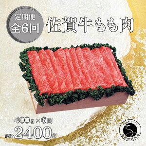 yӂ邳Ɣ[Łzy6 v2400gzꋍ  (ĂEԂԗp) 400g N90-2