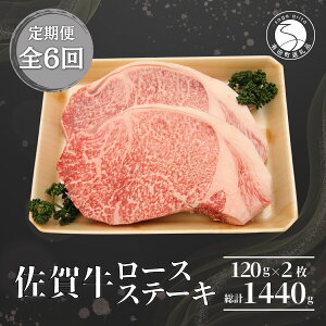 yӂ邳Ɣ[Łzy6 v1440gzꋍ [XXe[L 120g×2 N90-1