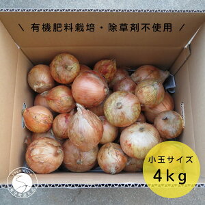 yӂ邳Ɣ[ŁzyʃTCY܂˂4LzL@엿͔|Eܕsgp ʂ˂ 4kg Pt@[}[Y F8-7