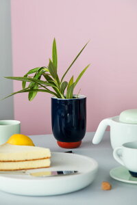 yӂ邳Ɣ[ŁzLc PD Flower Vase t[x[X a10.5cm 15cmy2016/IWizIWi ԕr Mtg CeA  a_ H { `H| 35000~ 35~ A35-346