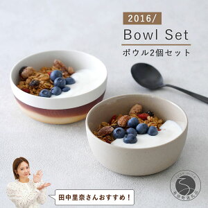 yӂ邳Ɣ[Łzycނ񂨂߁IzLc 2016/ Bowl Gray ClayESpray Color 2 Zbg y2016/ IWizLc H   Vv _ {E A26-2