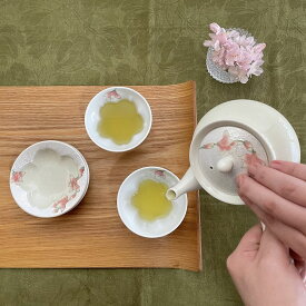 【ふるさと納税】田清窯 有田焼 煌めく木蓮花 茶器セット | 70000円以内 7万円以内 | ec005