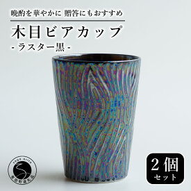 【ふるさと納税】【お酒が進む！輝くカップ】有田焼 ビアカップ(木目) 黒色 2個セット 女性にも人気 フリーカップ【喜鶴製陶】ビアカップ ビアグラス タンブラー カップ コップ 食器 ペアセット cy058