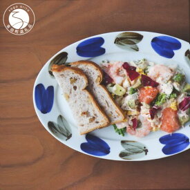 【ふるさと納税】有田焼 二色双葉 リムオーバル皿【山忠】食器 器 うつわ 皿 オーバル皿 プレート オーバルプレート パスタ皿 カレー皿 ワンプレート ナチュラル 手描き 電子レンジ対応 A18-263