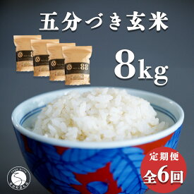 K85-4【ふるさと納税】【白米に近い玄米 6回定期便】ひのひかり 新食感 五分づき 玄米 8kg (2kg×4袋) 6回 定期便 棚田米 西山食糧