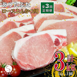 yӂ邳Ɣ[Łzy3 v3kgz肽Ԃ [X Ƃ񂩂p 1kg (1100g×10pbN) 3   ^pbN ؓ 30000~ 3~ N30-27