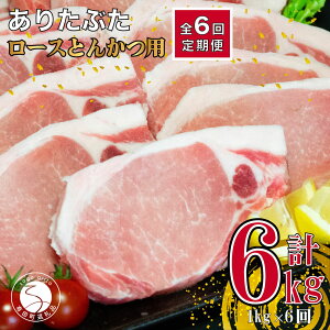 yӂ邳Ɣ[Łzy6 v6kgz肽Ԃ [X Ƃ񂩂p 1kg (1100g×10pbN) 6   ^pbN ؓ 60000~ N60-3