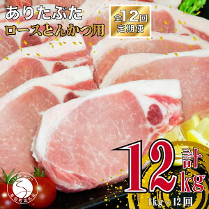 yӂ邳Ɣ[Łzy12 v12kgz肽Ԃ [X Ƃ񂩂p 1kg (1100g×10pbN) 12   ^pbN ؓ 120000~ N120-4