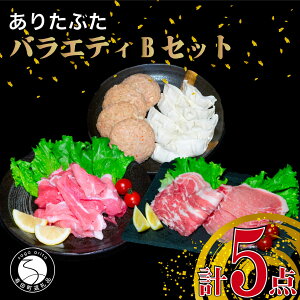 yӂ邳Ɣ[Łz肽Ԃ ؓ5 oGeBBZbg v1.2kg  ^pbNyrcXzؓ Zbg Ԃ [X o  no[O Lq uh Y ꌧY 