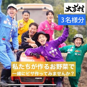 yӂ邳Ɣ[Łzg sU+AǑ`Pbg 3l V55-2