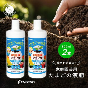 yӂ邳Ɣ[ŁzɗD ܂̉t 800ml 2{Zbg yENEGGOЁz 엿 t̔엿 ƒ뉀| |p TXeiu A~m_͍ ؗp ԗp ϗtA XgXϐi Abv
