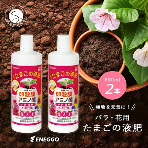 yӂ邳Ɣ[Łzu܂̉tvI[Kiu 800ml (oEԗp) 2{Zbg ENEGGO 엿 L@ TXeiu | K[fjO ʕ  V6-3