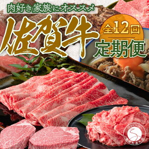 yӂ邳Ɣ[Łzy12A͂z ꋍ A5`A4N 12R[X  Ԃ [Xgr[t Jr [XXe[L oXCX qXe[L no[O 