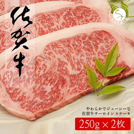 【ふるさと納税】佐賀牛サーロインステーキ500g（250g×2枚）【やわらかでジューシー！】牛肉 黒毛和牛 極上の佐賀牛 厳選 500グラム お肉 おにく ギフト プレゼント 贈り物 N35-13