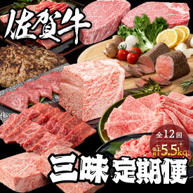 【ふるさと納税】佐賀牛三昧定期便 毎月届く 全12回 計5.5kg 肉 定期便 佐賀牛 こだわり おすすめ ギフト 贈答 黒毛和牛 ランキング 30万円 300000 N300-6
