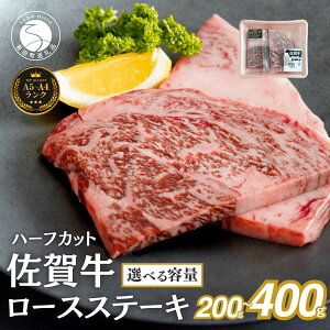 yӂ邳Ɣ[ŁzyeʂׂIzꋍ[XXe[L 200g(2) 400g(4)  ꋍ   Mtg  јa LO [X 12500~ 25000~ 12500 25000 N12-7 N25-12