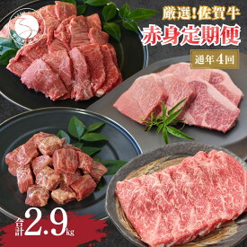 【ふるさと納税】厳選！佐賀牛 赤身 定期便 全4回 モモ カタ スライス 焼き肉 ステーキ 煮込み料理 N100-17
